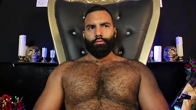 BeardAndrew webcam