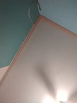 ReallyReallyReal webcam