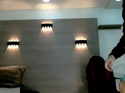 Gaeliitto webcam