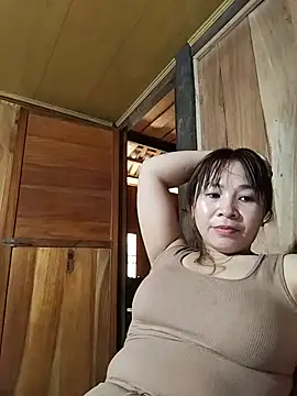 Biva11 webcam