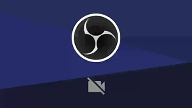 tom_and_lazzie webcam