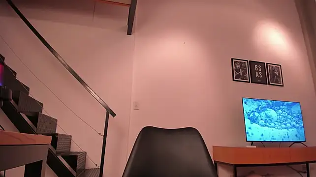 Mira_Lite webcam