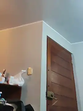CAVP420 webcam