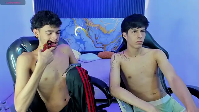 Estiv18_ webcam