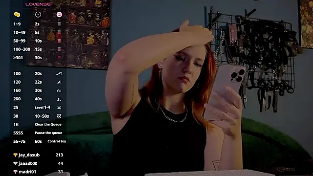 Serve_to_Alexa webcam