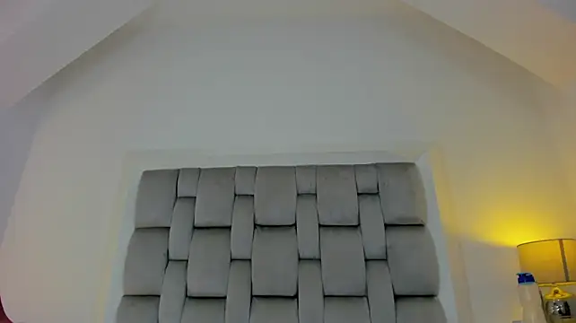 b3k_afrodict webcam