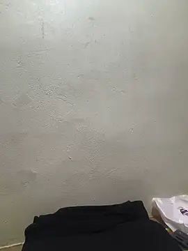 he-se-kin webcam