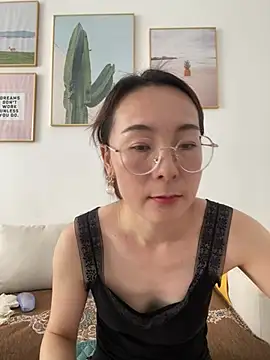 you-520 webcam