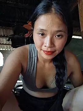 Liss-mimi webcam