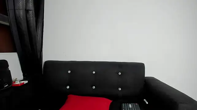 Onion_knight webcam