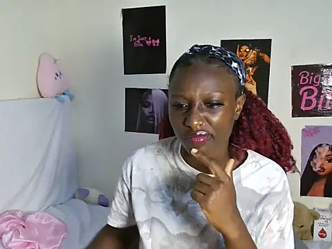 Aria_ah webcam