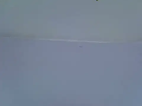 berrynova webcam