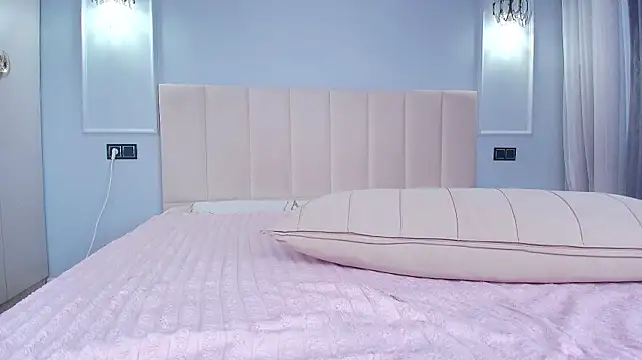 sophiesoft webcam