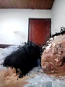 kitty_valer webcam