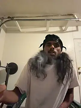 dingoding webcam
