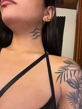 _iink_ webcam