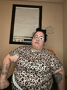 Tillymarie webcam