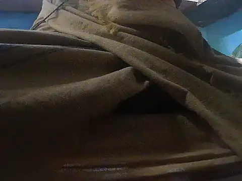 Precumking1 webcam