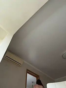 AriaVip webcam