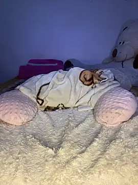 Caamii_ webcam