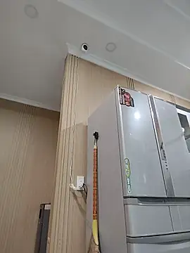 Fanritar webcam