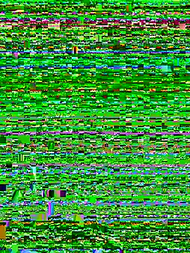 SandraMillers webcam