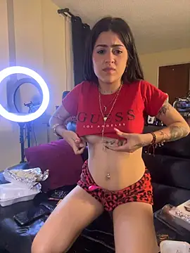 Chanel-fire webcam