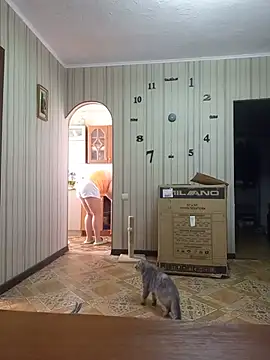 BustyBlond webcam
