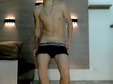 Gaeliitto webcam