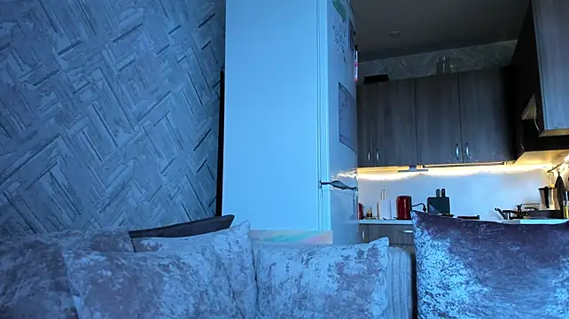 FancyRoom webcam