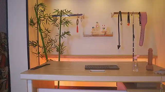 Greiz_SubKimura webcam