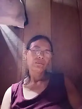 toyo_668 webcam