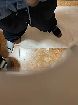 dingoding webcam