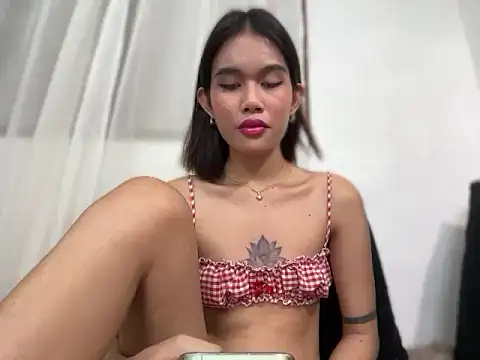 Fra_La webcam