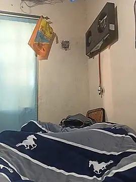 Seties webcam