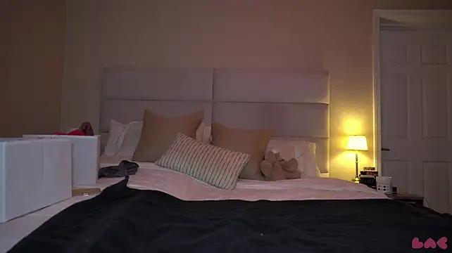 baedot webcam
