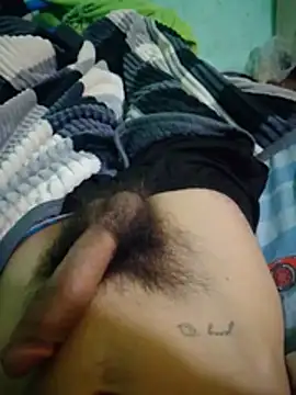 Emiiliaano webcam