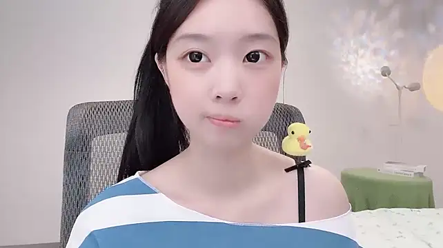 Yoyo33355 webcam