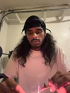 dingoding webcam