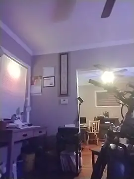 ReallyReallyReal webcam