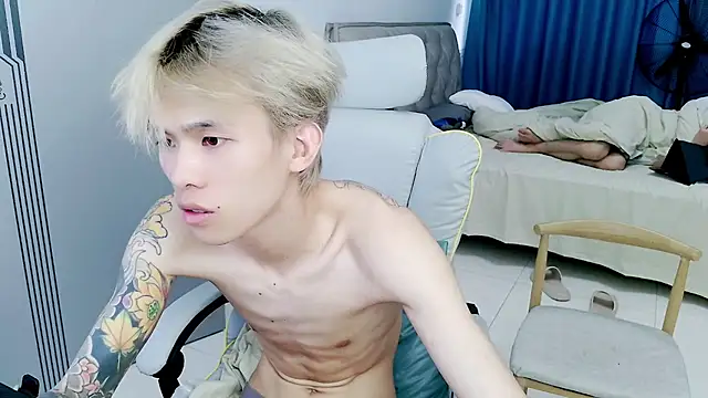 KPL-11 webcam