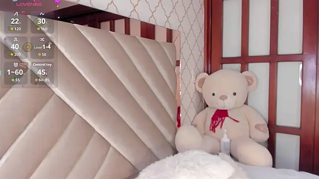 KaelSoft_ webcam
