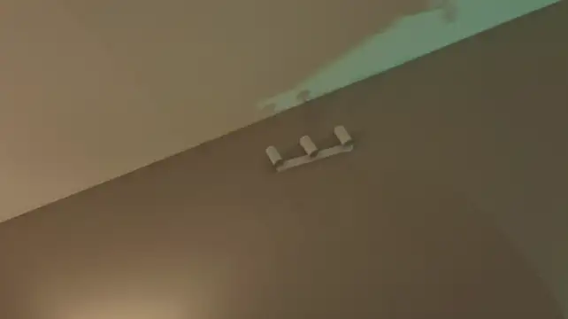 L1ittle_kitty_ webcam