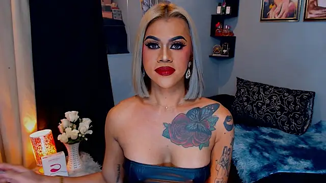 StellaStrong30 webcam