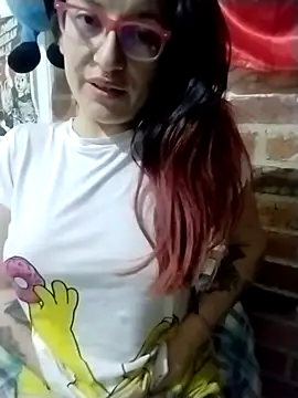 _Alaskamisa webcam