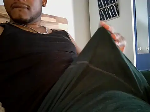 Professor_Pie webcam