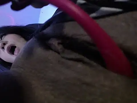 Anastasiabasst__ webcam