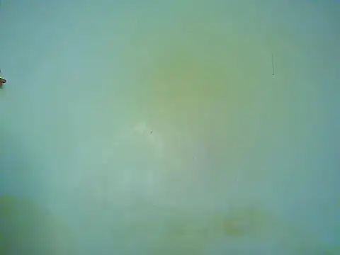 Slim_doli webcam