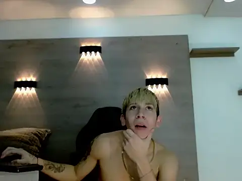 Gaeliitto webcam