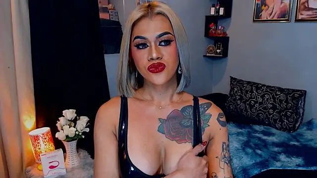 StellaStrong30 webcam